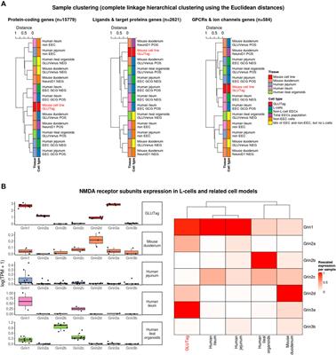 NMDA Receptor Antagonists Increase the Release of GLP-1 From Gut Endocrine Cells